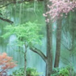 Meet your Posher, Denise c